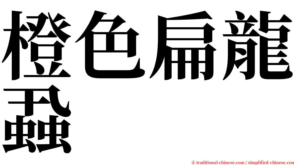 橙色扁龍蝨 serif font