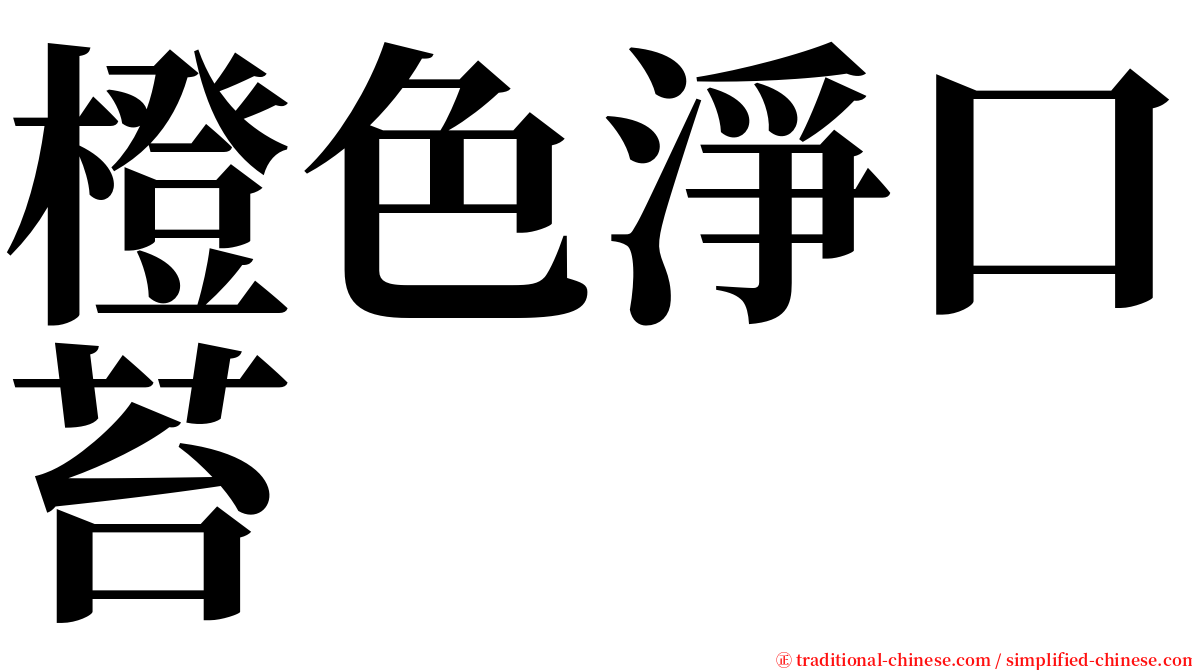 橙色淨口苔 serif font
