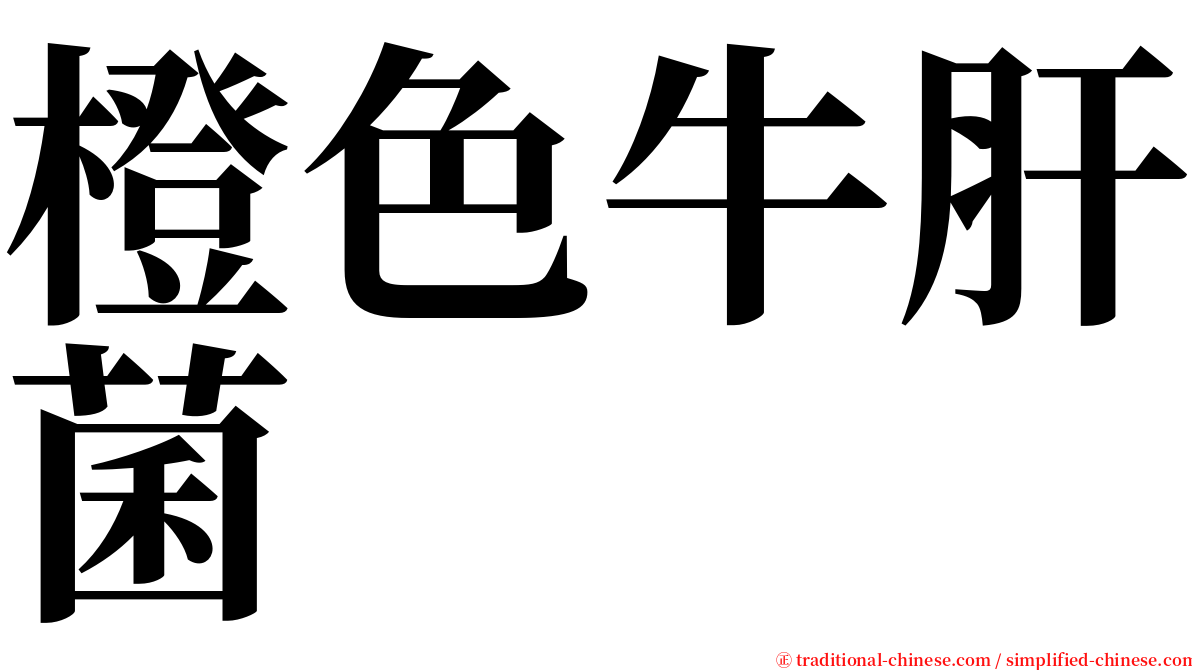 橙色牛肝菌 serif font