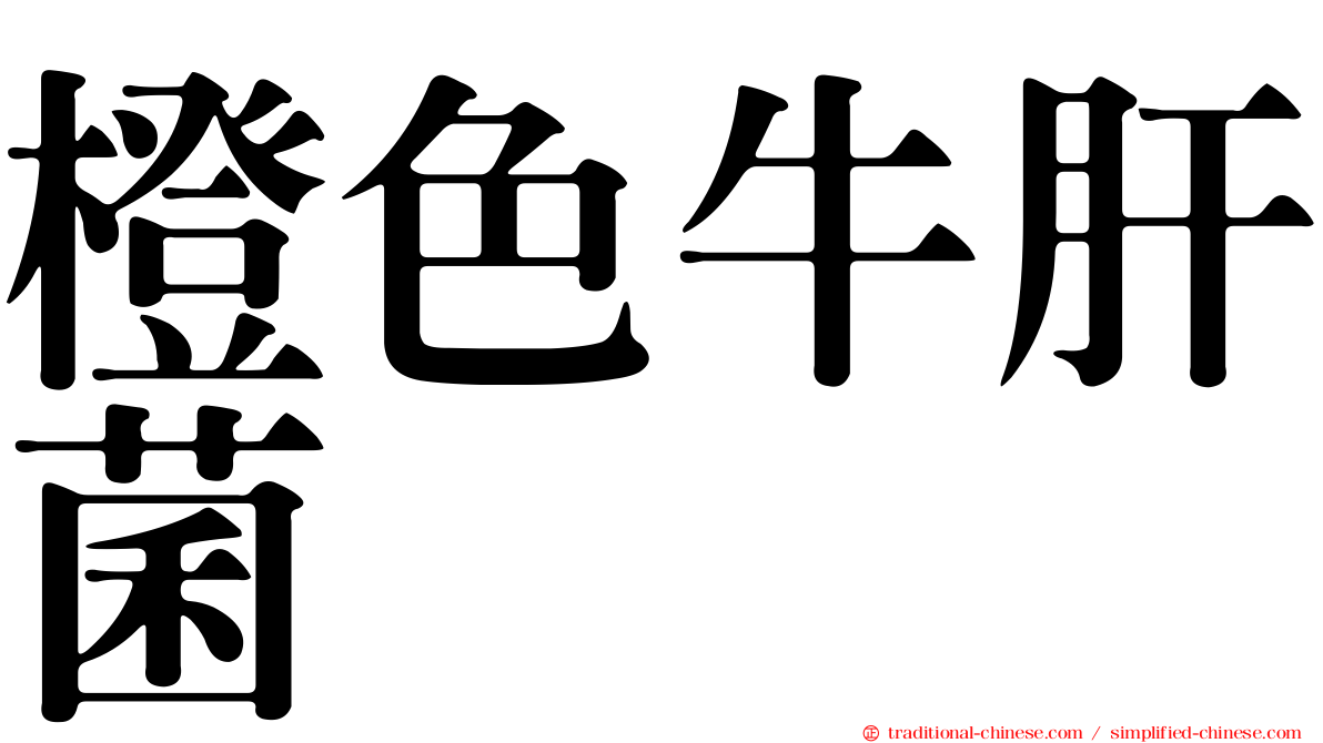 橙色牛肝菌