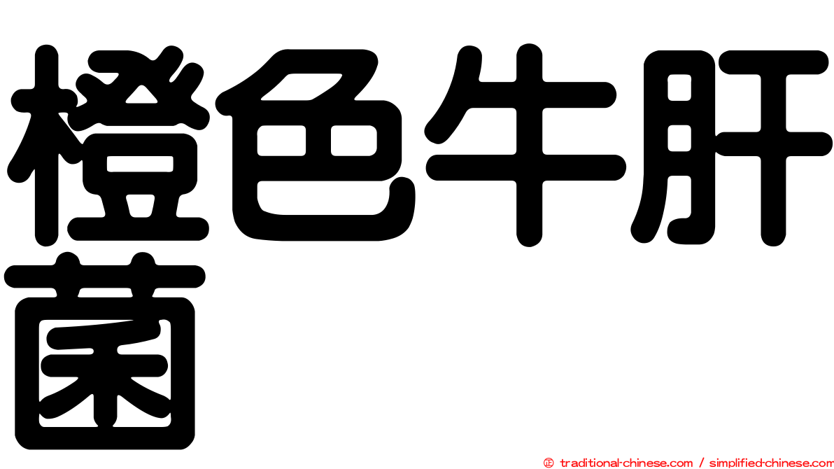 橙色牛肝菌