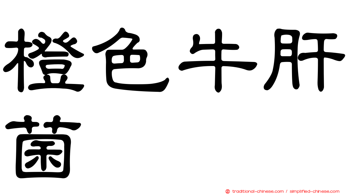橙色牛肝菌