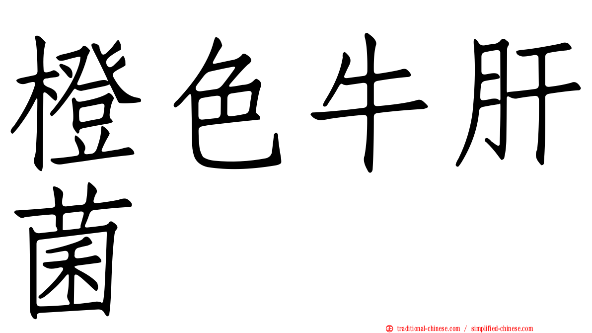 橙色牛肝菌