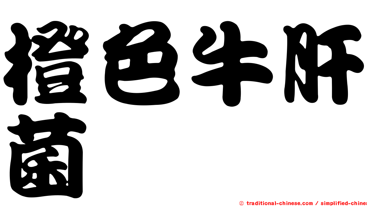 橙色牛肝菌