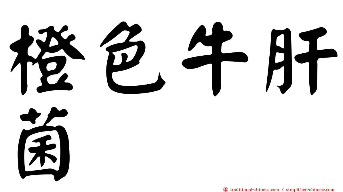 橙色牛肝菌