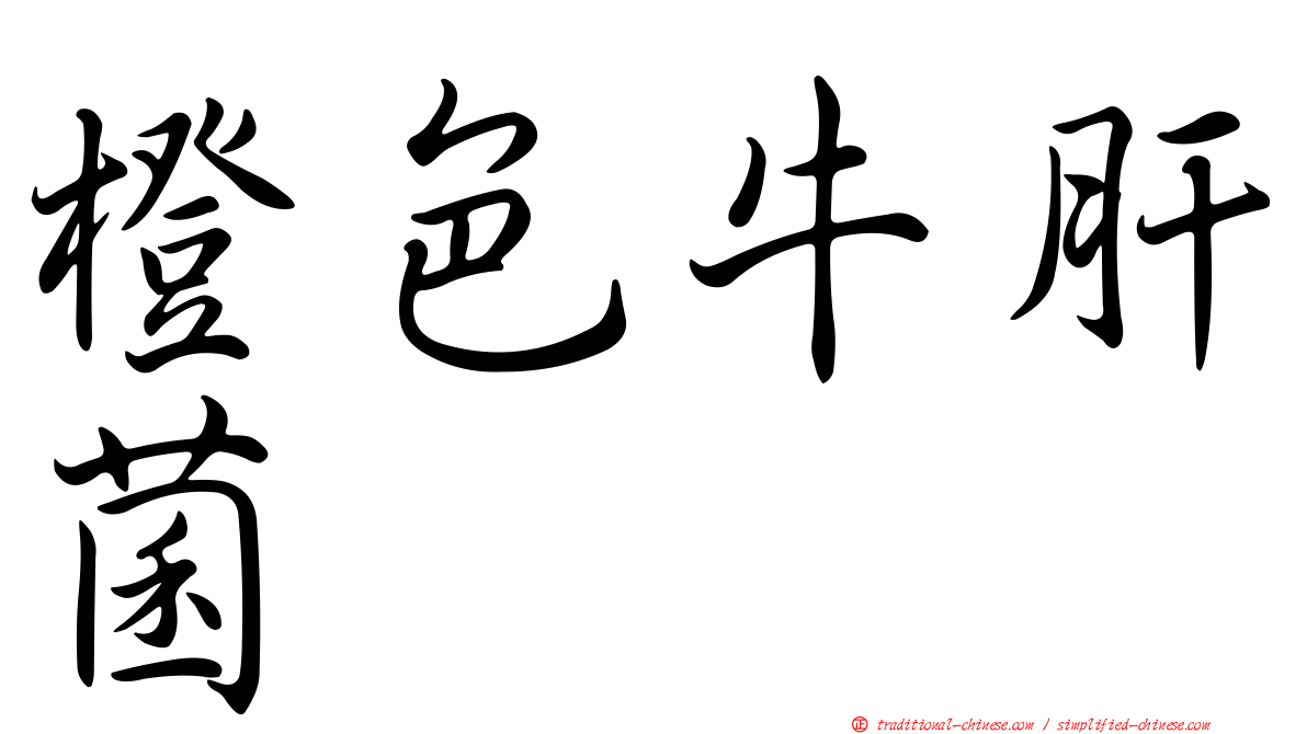 橙色牛肝菌