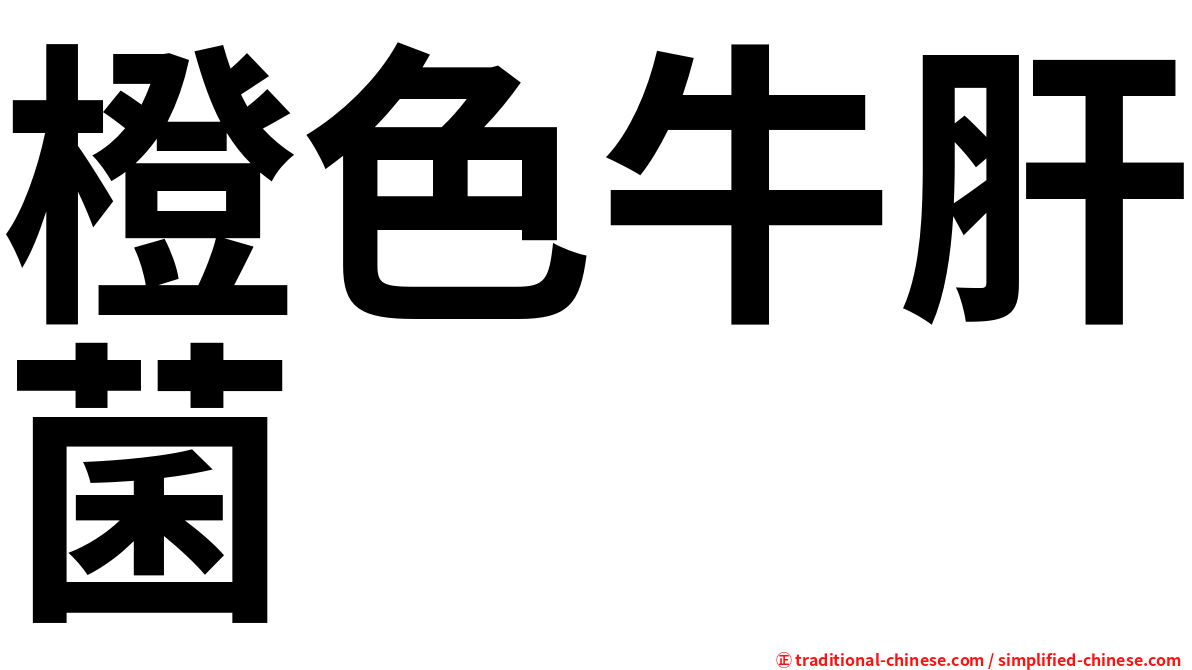 橙色牛肝菌