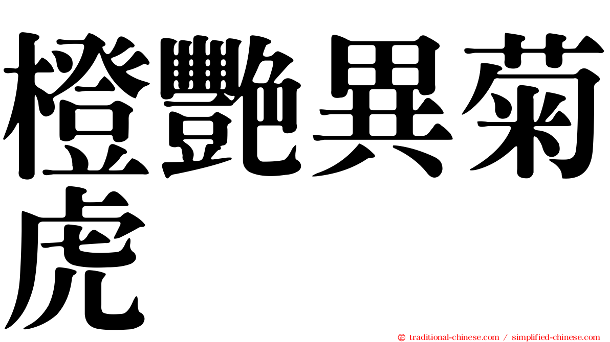 橙艷異菊虎