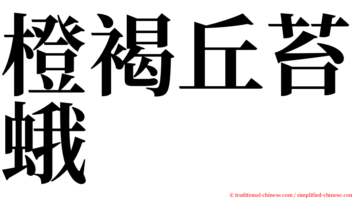 橙褐丘苔蛾 serif font