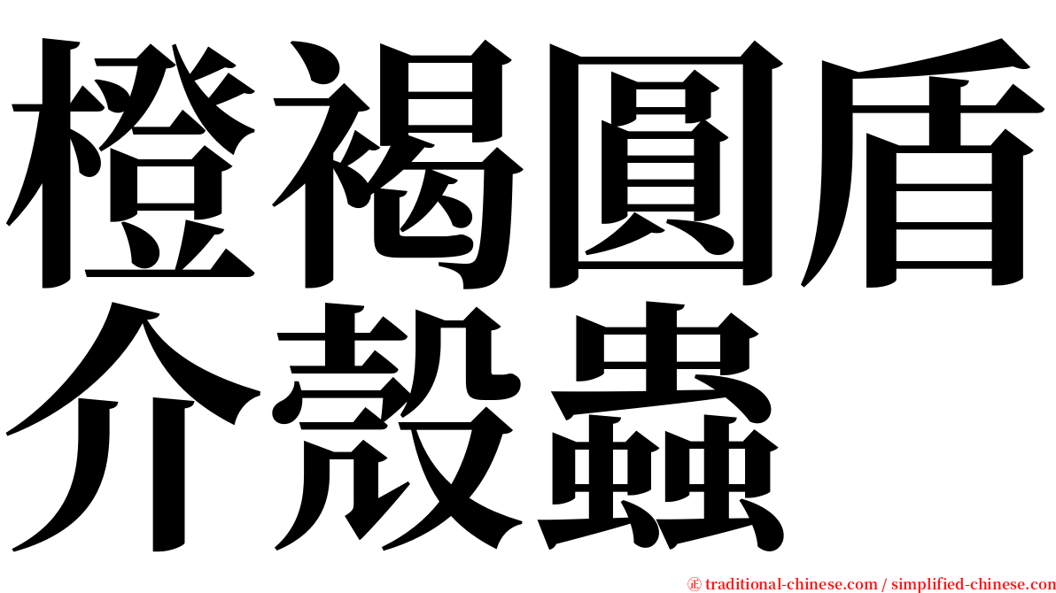橙褐圓盾介殼蟲 serif font