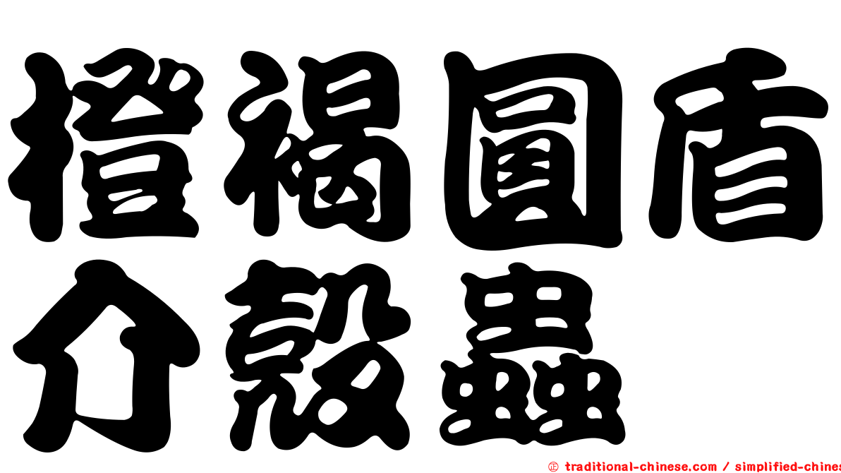橙褐圓盾介殼蟲