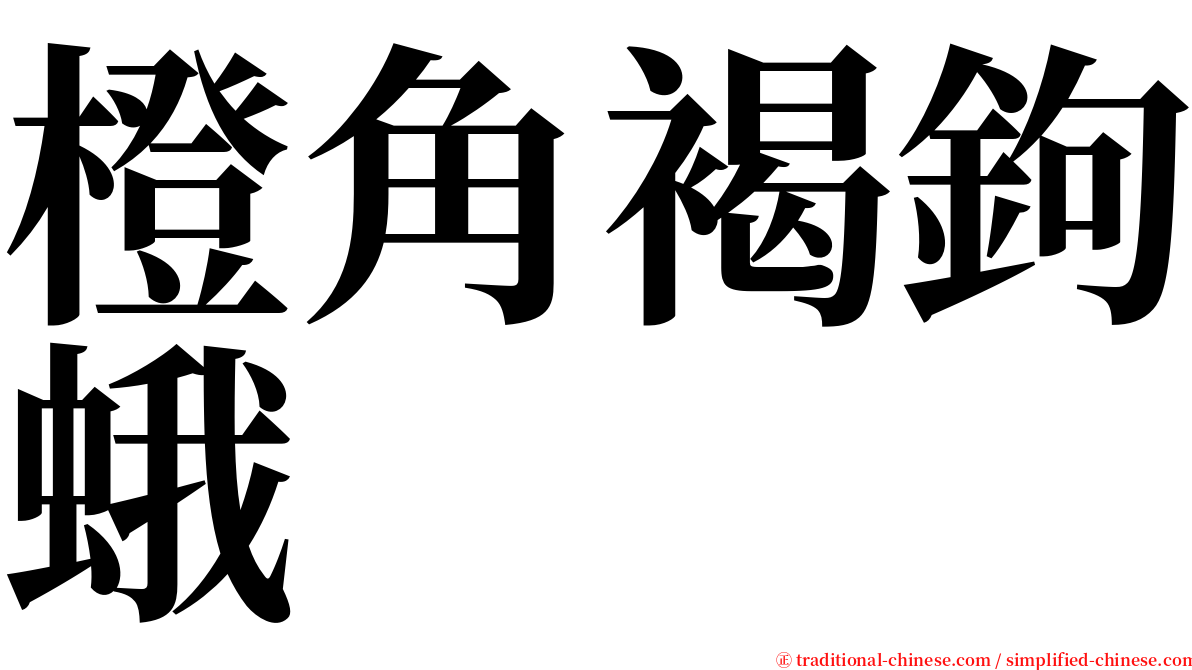 橙角褐鉤蛾 serif font