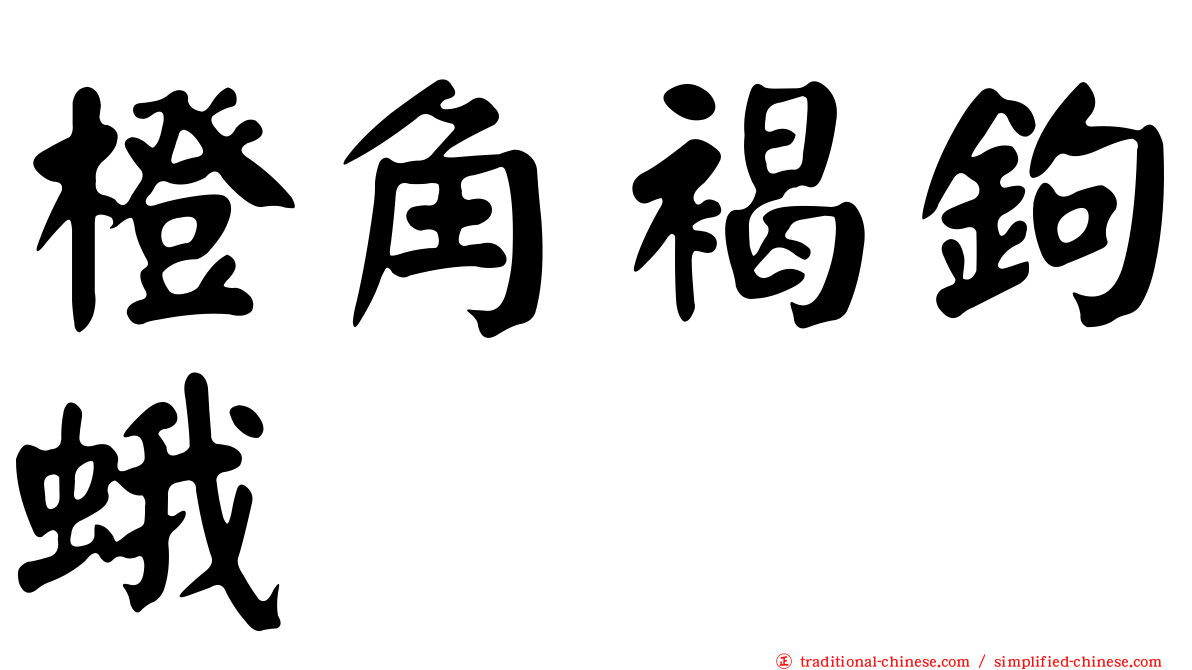 橙角褐鉤蛾