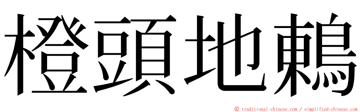 橙頭地鶇 ming font