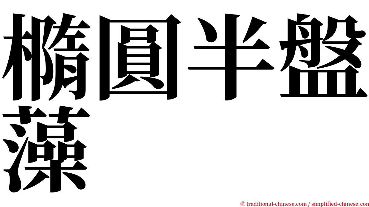 橢圓半盤藻 serif font