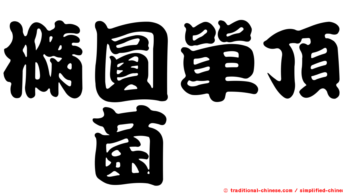 橢圓單頂孢菌