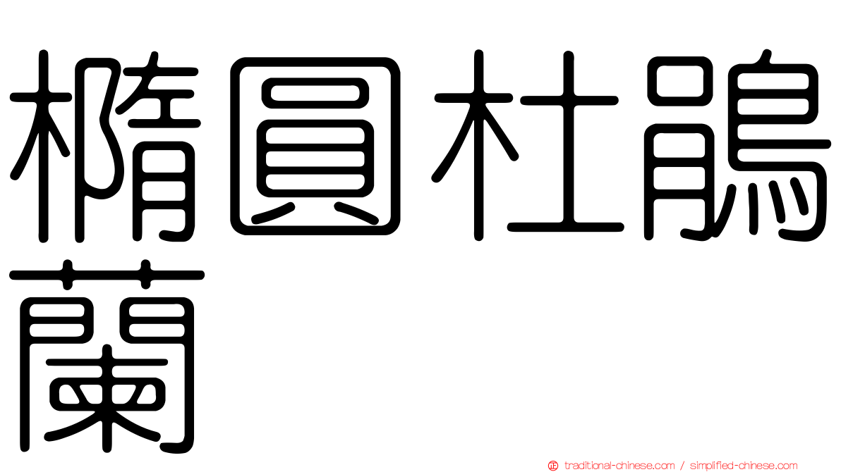 橢圓杜鵑蘭
