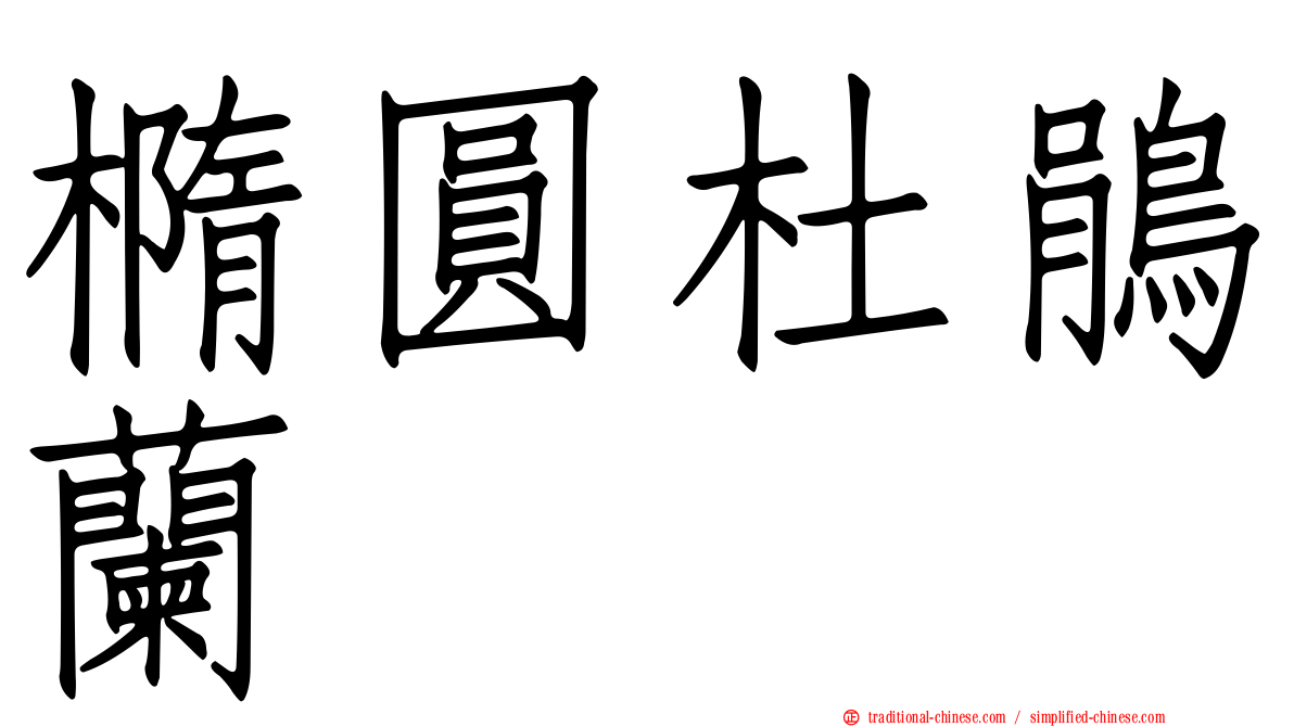 橢圓杜鵑蘭