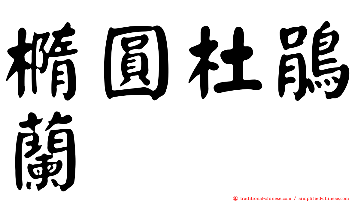 橢圓杜鵑蘭