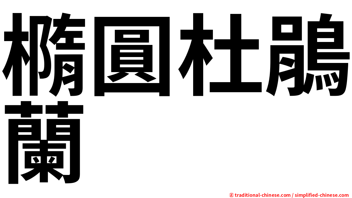 橢圓杜鵑蘭