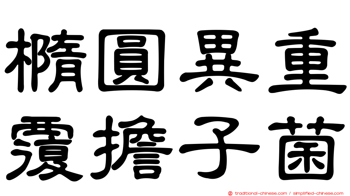 橢圓異重覆擔子菌