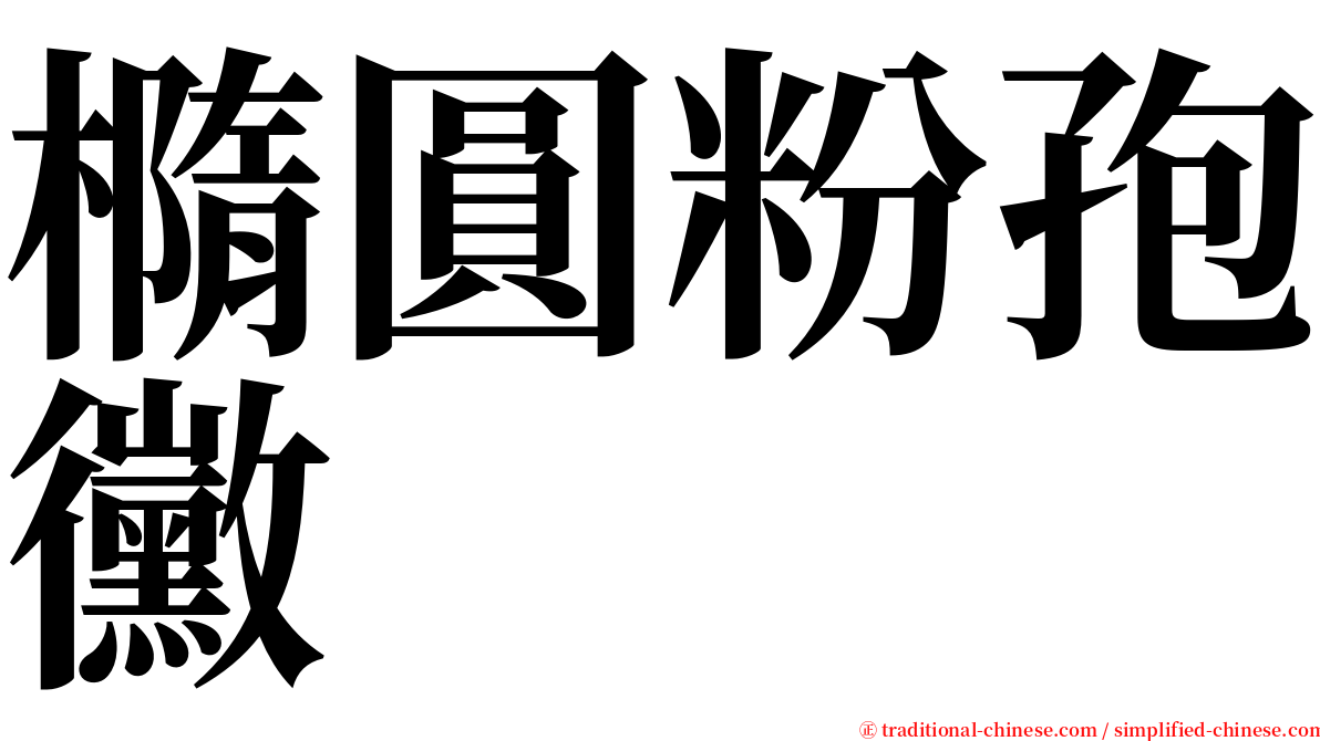 橢圓粉孢黴 serif font