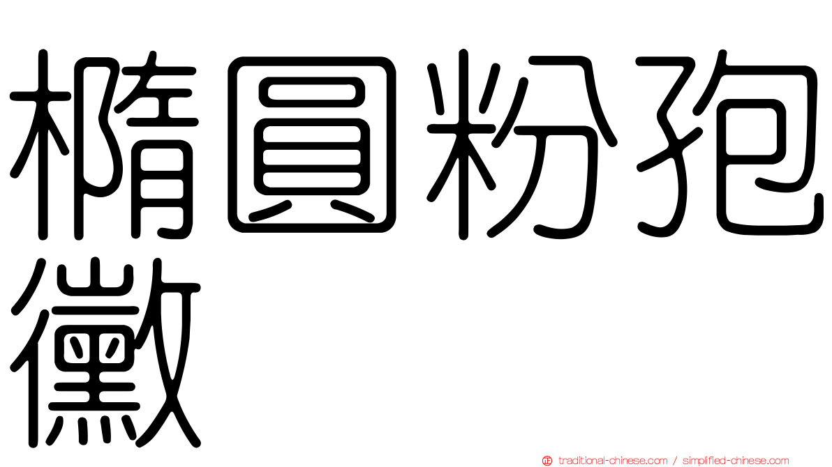 橢圓粉孢黴