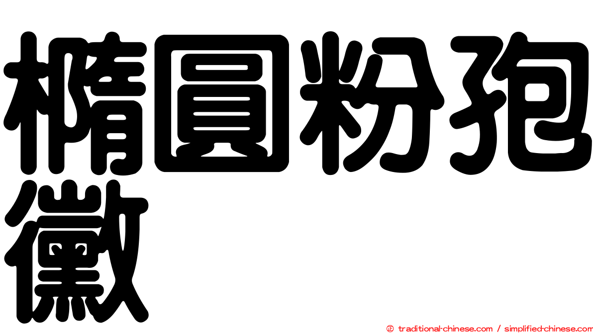 橢圓粉孢黴