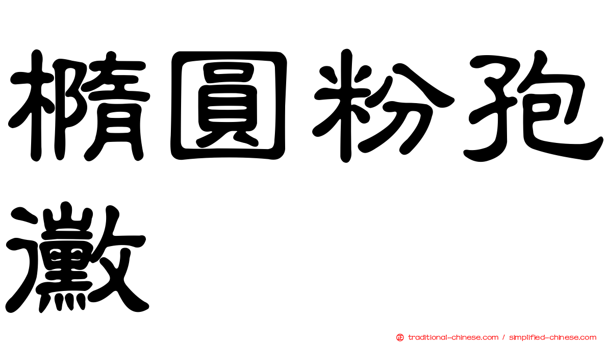 橢圓粉孢黴