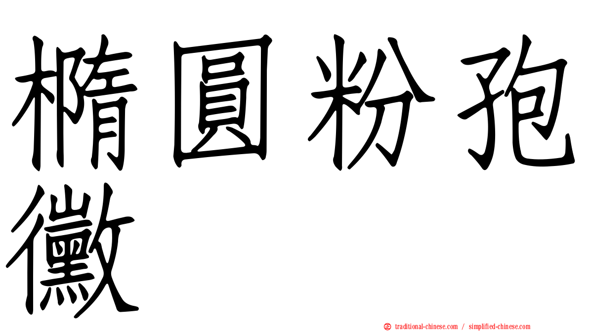 橢圓粉孢黴