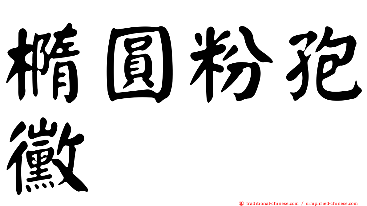 橢圓粉孢黴
