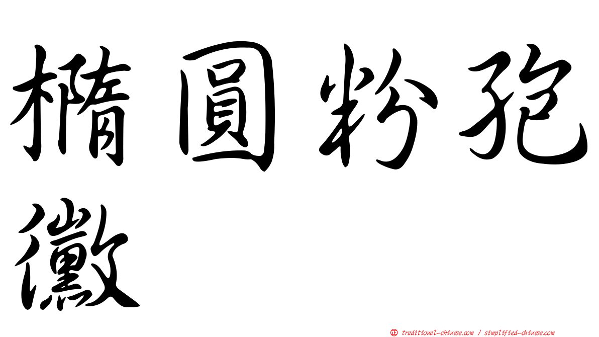 橢圓粉孢黴