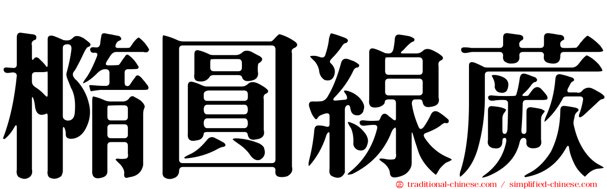 橢圓線蕨