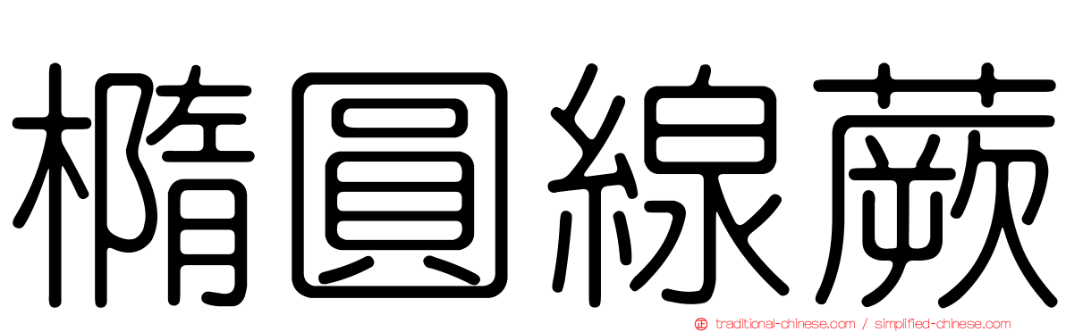 橢圓線蕨