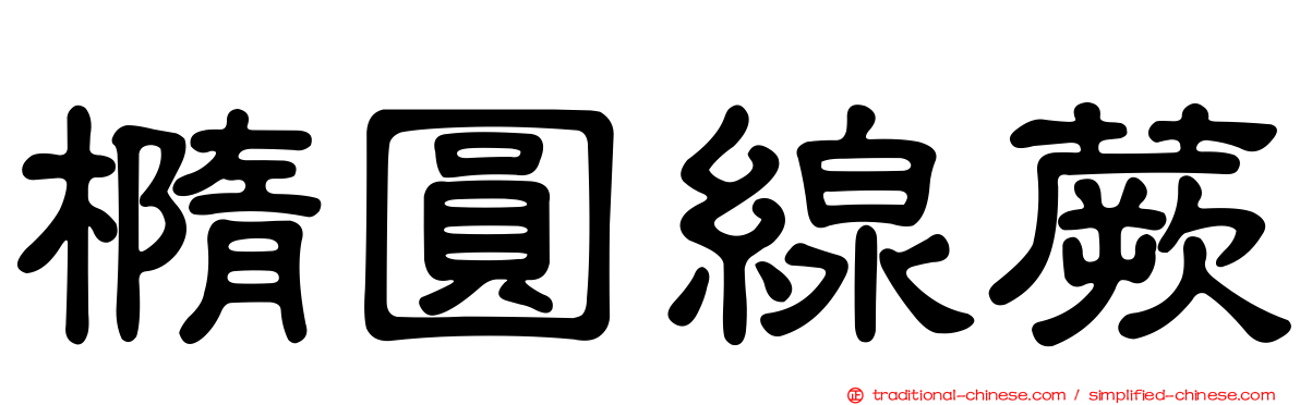 橢圓線蕨