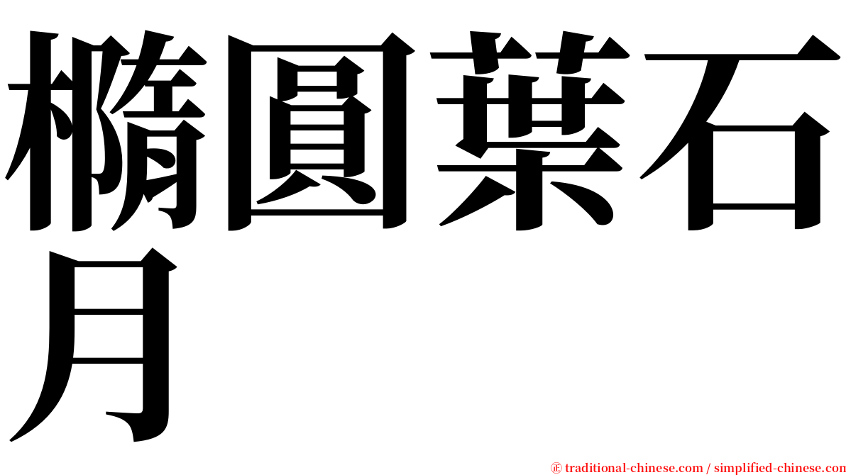 橢圓葉石月 serif font