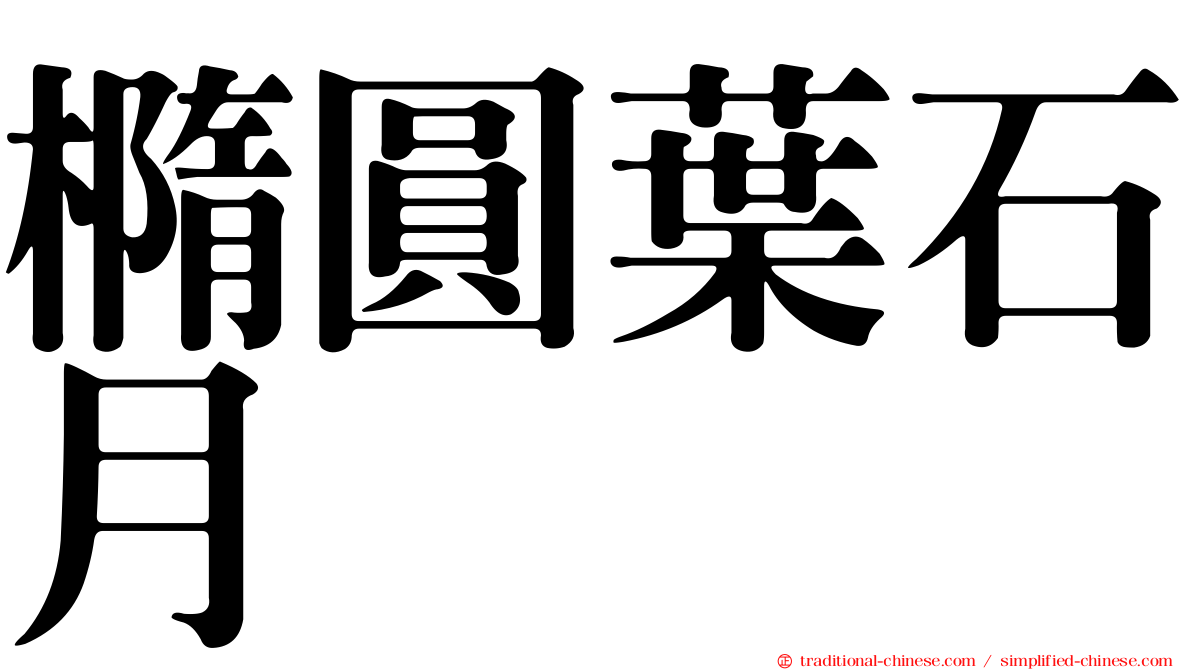 橢圓葉石月