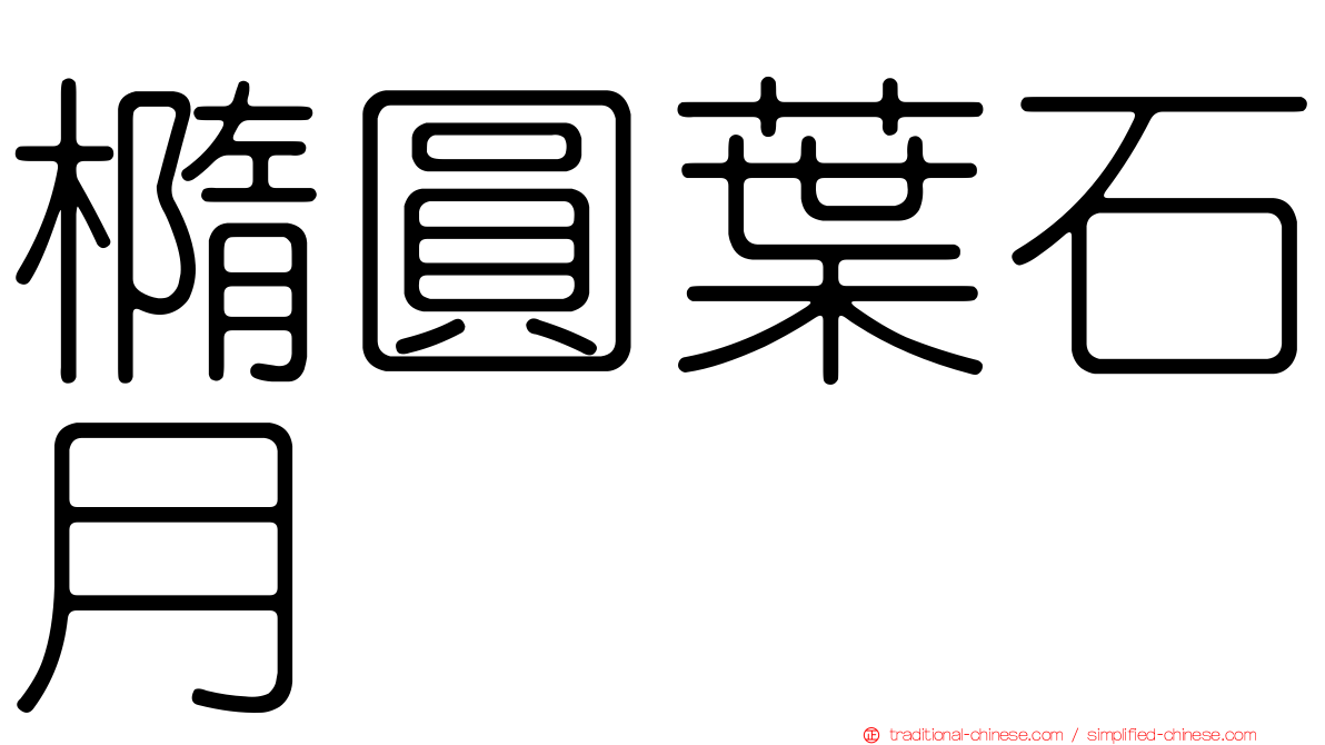 橢圓葉石月