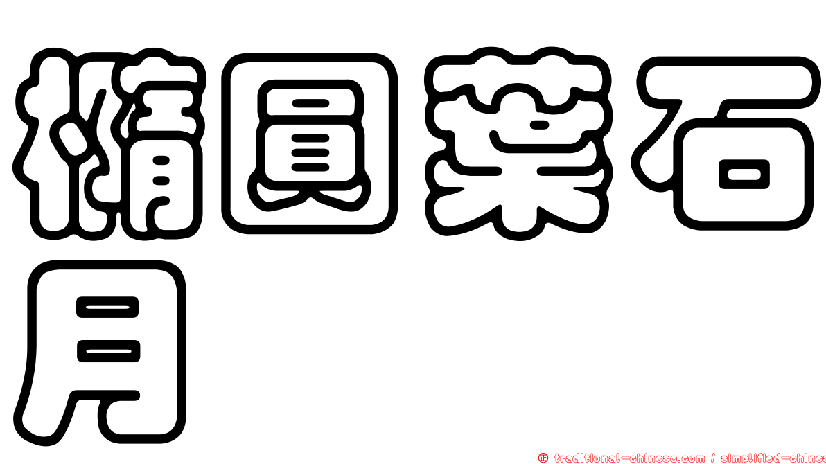 橢圓葉石月
