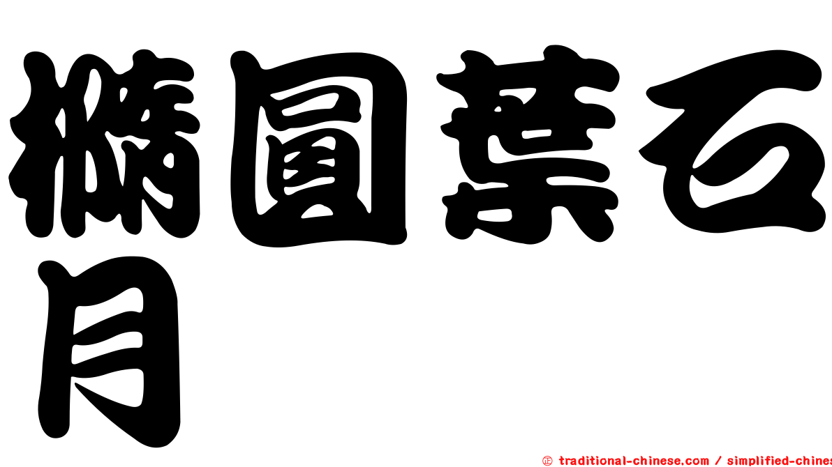 橢圓葉石月