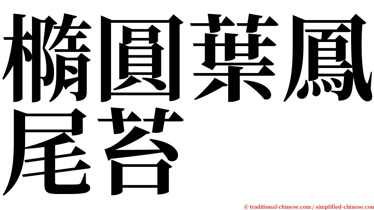 橢圓葉鳳尾苔 serif font