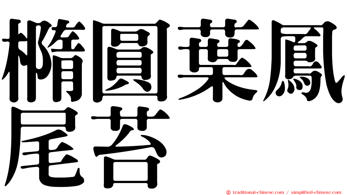 橢圓葉鳳尾苔