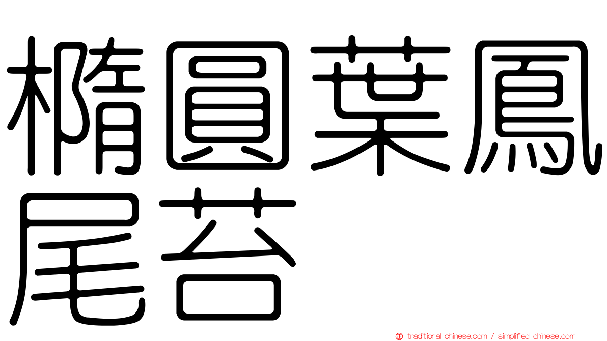 橢圓葉鳳尾苔