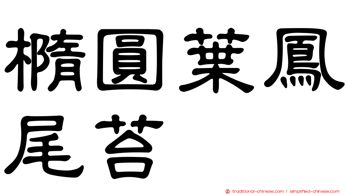 橢圓葉鳳尾苔