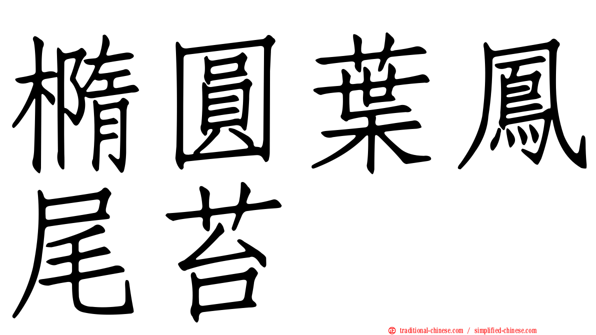 橢圓葉鳳尾苔