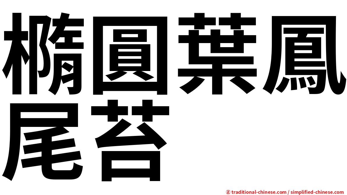 橢圓葉鳳尾苔