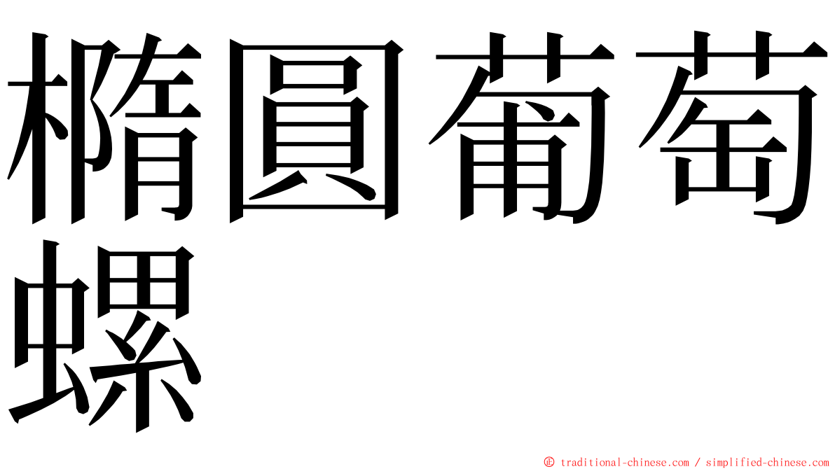 橢圓葡萄螺 ming font