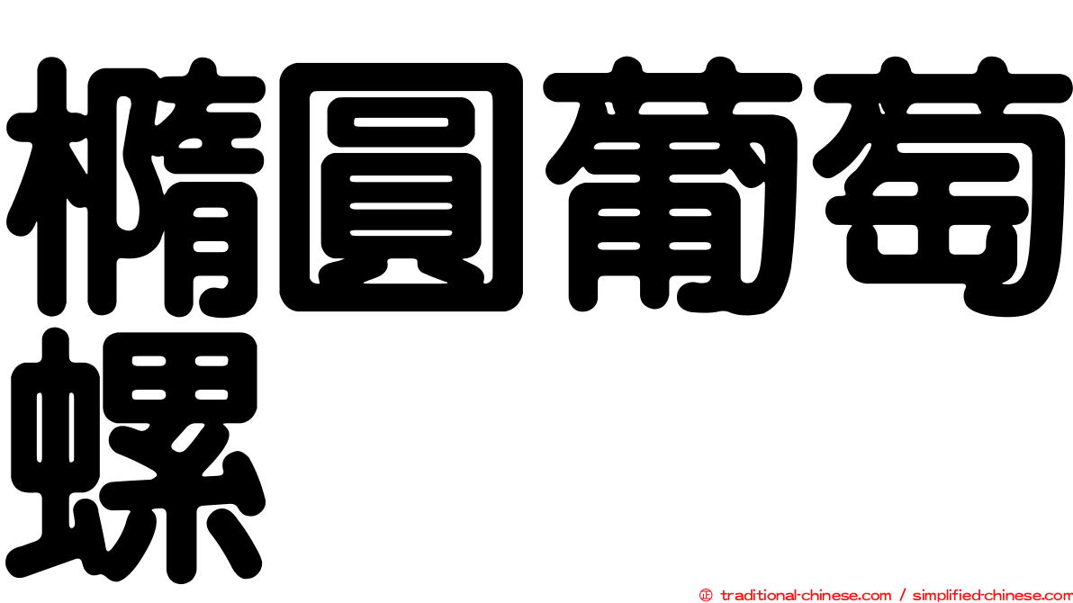 橢圓葡萄螺