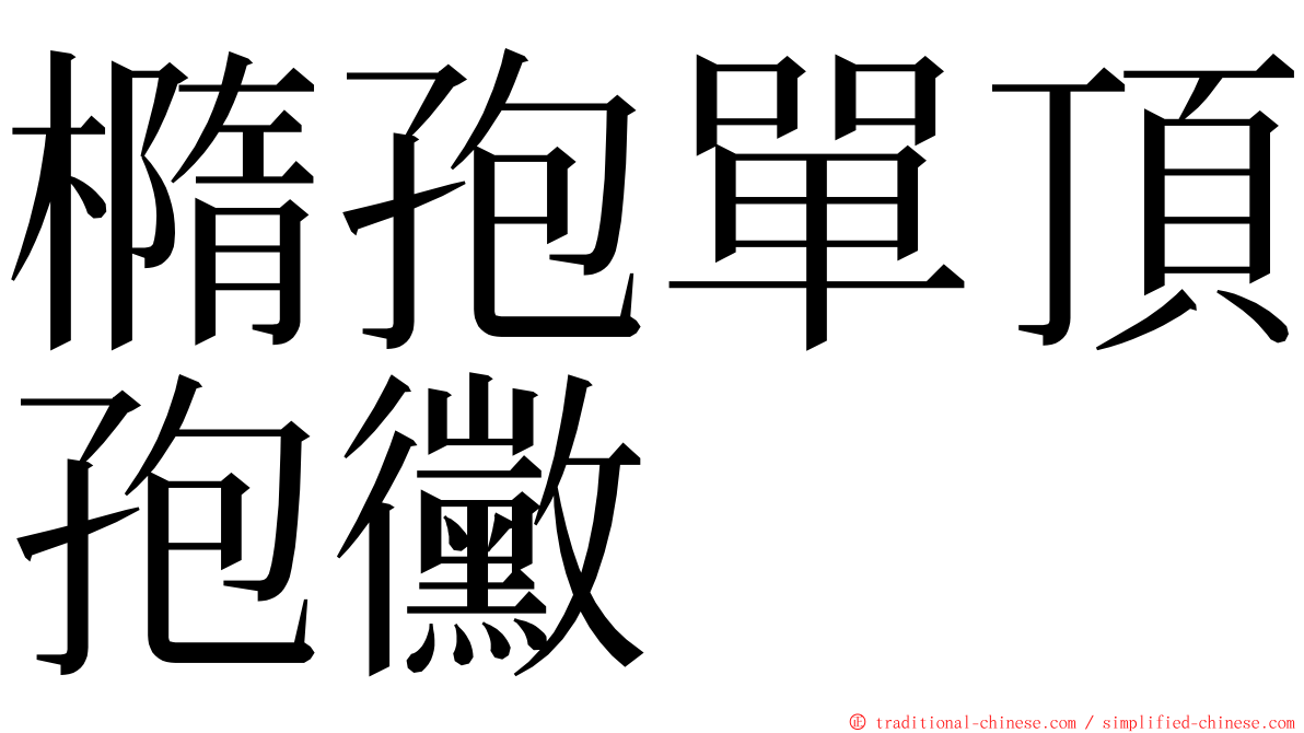 橢孢單頂孢黴 ming font