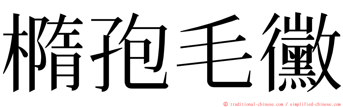 橢孢毛黴 ming font